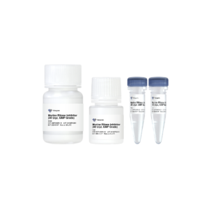 Murine RNase Inhibitor (40 U/μl, GMP Grade)