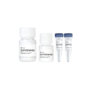 Pyrophosphatase, Inorganic (yeast, 0.1 U/μl, GMP Grade)