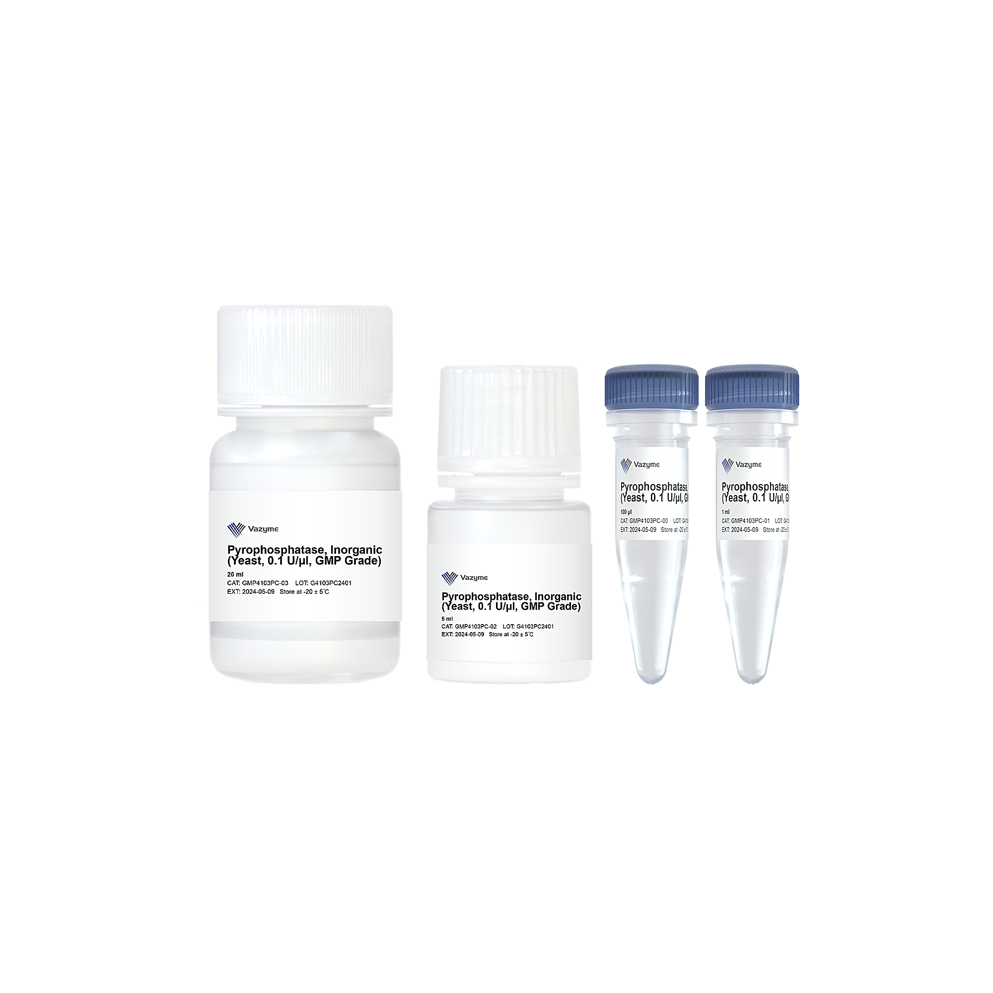 Pyrophosphatase, Inorganic (yeast, 0.1 U/μl, GMP Grade)