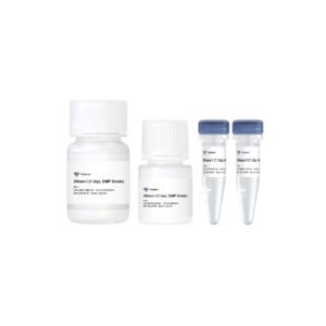 DNase I(1 U/μl, GMP Grade)