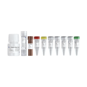 VAHTS Target Capture Hybridization and Wash Kit