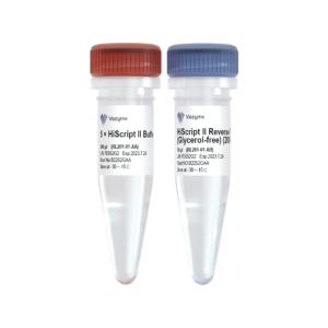 HiScript II Reverse Transcriptase (Glycerol-free)
