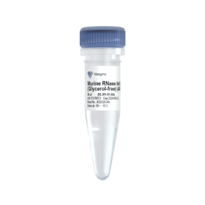 Murine RNase Inhibitor (Glycerol-free)