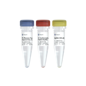 RTv Reverse Transcriptase (Glycerol-free)