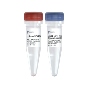 AccurSTART Reverse Transcriptase (Glycerol-free)