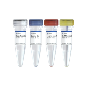 HiScript III All-in-one RT SuperMix Perfect for qPCR