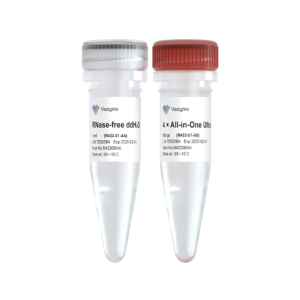 HiScript IV All-in-One Ultra RT SuperMix for qPCR