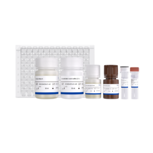 EasyAna T7 RNA Polymerase Quantitative Detection Kit (ELISA)