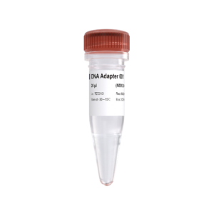 VAHTS PCR-Free DNA Adapters for MGI
