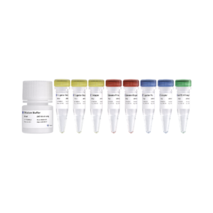 EpiArt DNA Methylation Library Kit for Illumina V3