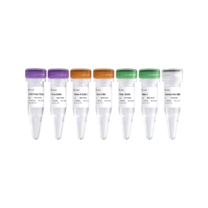 Ribo-off rRNA Depletion Kit V2 (Bacteria)