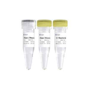 DNase I, RNase-free (50 U/μl)