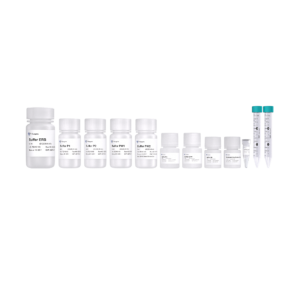 FastPure EndoFree Plasmid Midi Kit