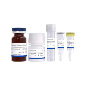 ADP-Lite Kinase Assay