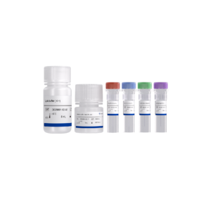 Add&Read Phospho-ERK1/2 (Thr202/Tyr204) Kit