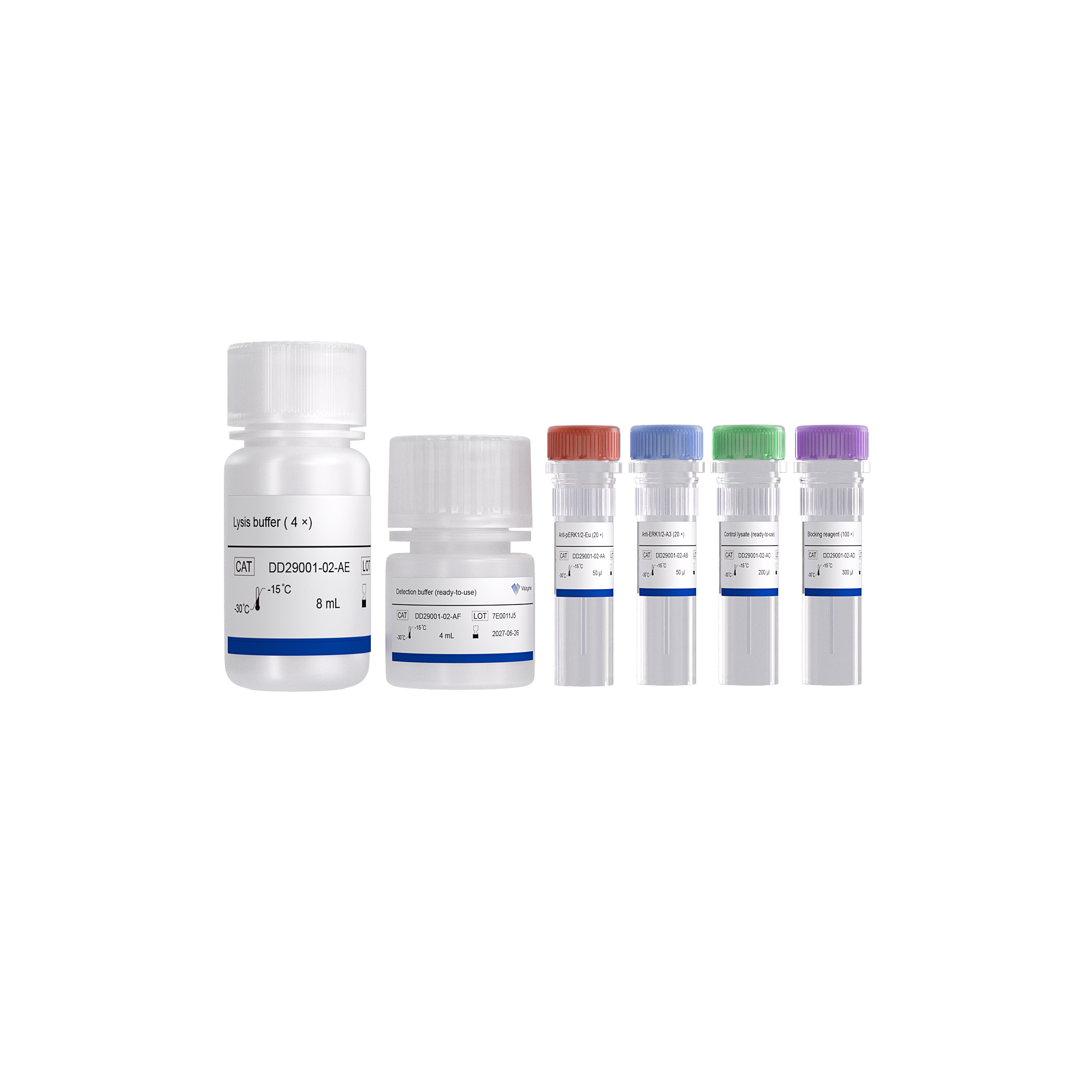 Add&Read Phospho-ERK1/2 (Thr202/Tyr204) Kit