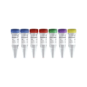 VAHTS Universal Plus DNA Library Prep Kit V4
