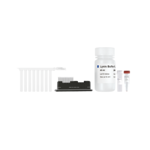 VAMNE Magnetic Universal Plant Total DNA Kit (Prepackaged)