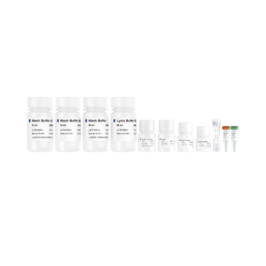 VAMNE Magnetic Universal Plant Total RNA Kit/VAMNE Magnetic Universal Plant Total RNA Kit (Prepackaged)