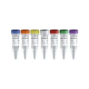 VAHTS TGS DNA Library Prep Kit for ONT V2