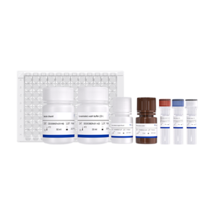 EasyAna dsRNA (Modified) Quantitative Detection Kit (ELISA) 2.0
